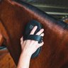 HorseHaus
