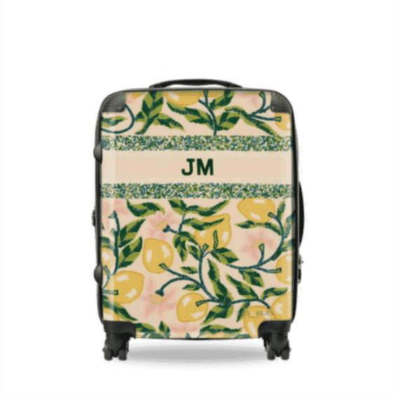 Juliana Beaded Luggage
