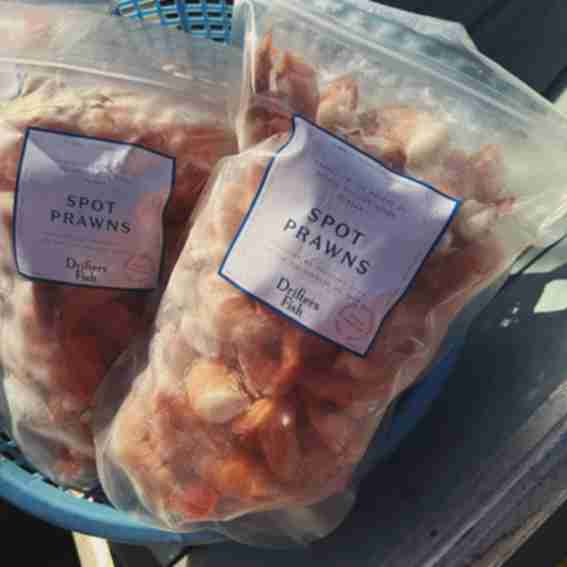 Drifters Fish Reviews