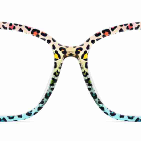 Spring Eyeglasses