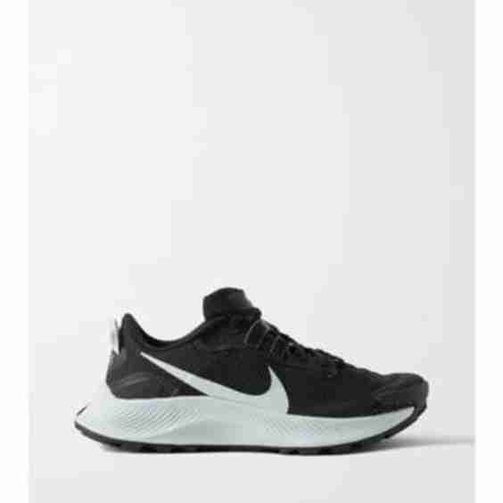 Pegasus Trail 3 Mesh And Ripstop Sneakers