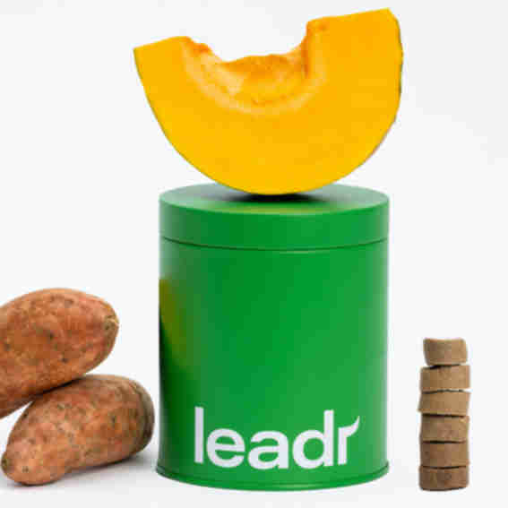 Leadr Pet Reviews