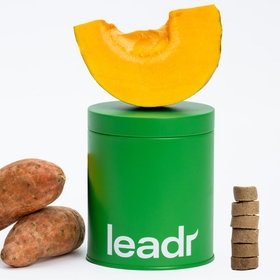 Leadr Pet