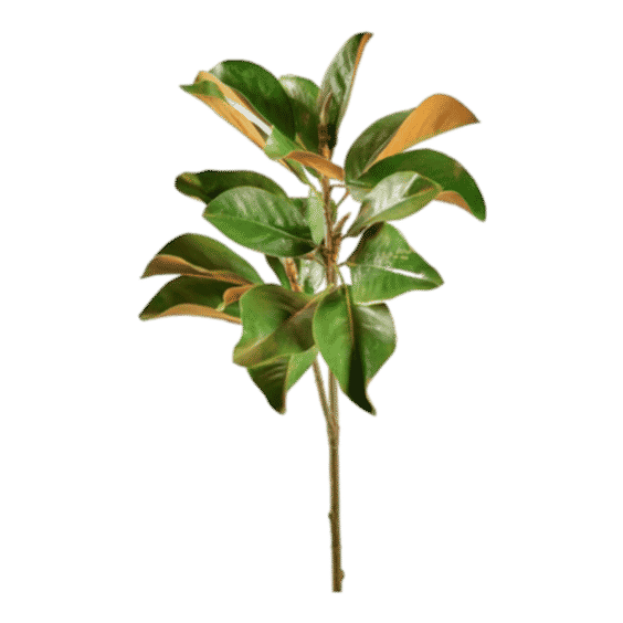 Faux Magnolia Leaf Branch - 41"