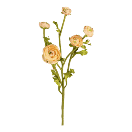 Real Touch Faux Ranunculus In Peach - 21.5"