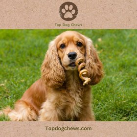 Top Dog Chews