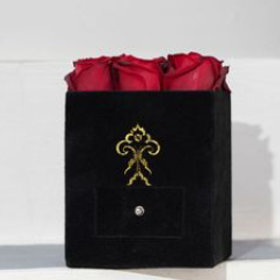 Premium Roses