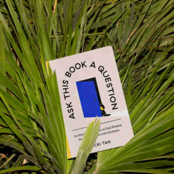 Ask This Book a Question Reviews
