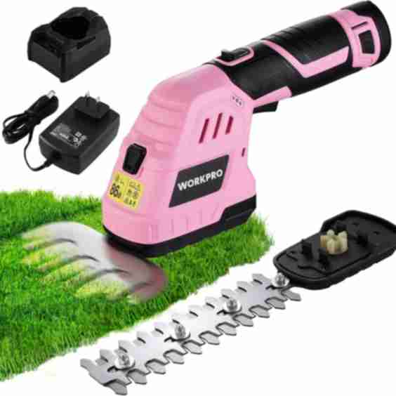 12V Cordless 2 in 1 Handheld Cordless Grass Shear & Shrubbery Trimmer with 2.0Ah Rechargeable Lithium-Ion Battery &1 Hour Fast Charger