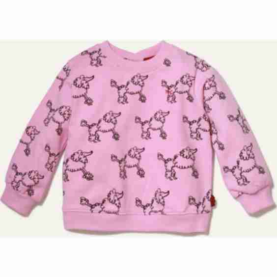 Baby Coco Poodle Print Crew Neck Drop Shoulder Sweatshirt