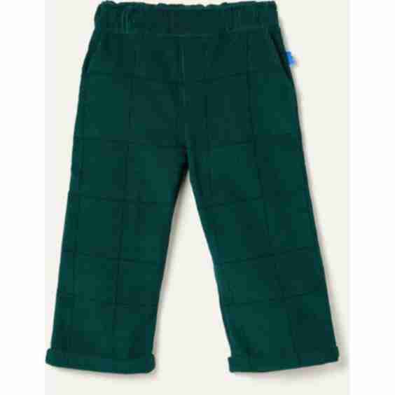 Cotton Evergreen Grid Corduroy Pant
