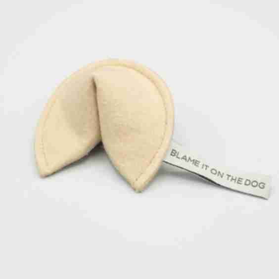 KITTY FORTUNE COOKIE - Blame It On The Dog