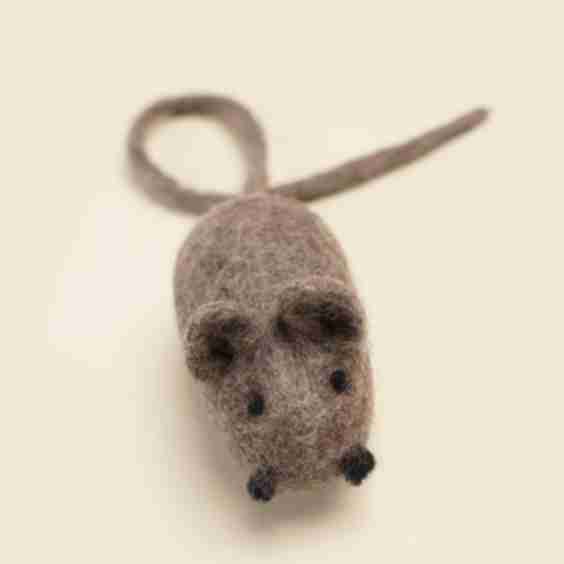 CITY MOUSE