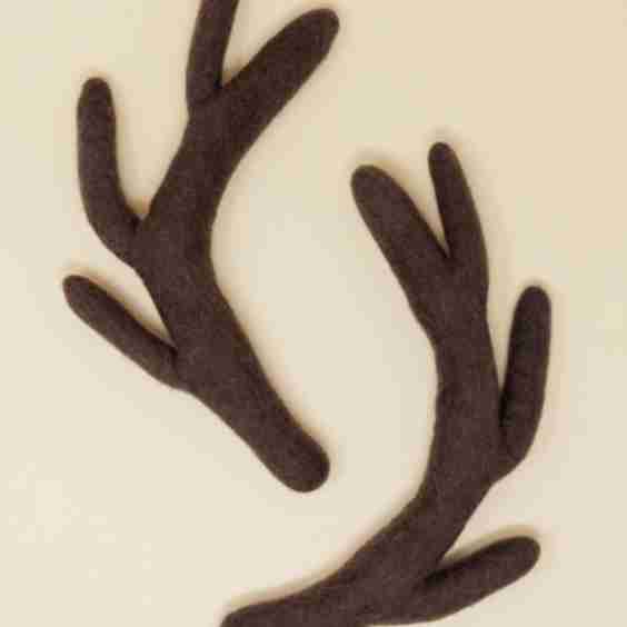 WOOL ANTLER