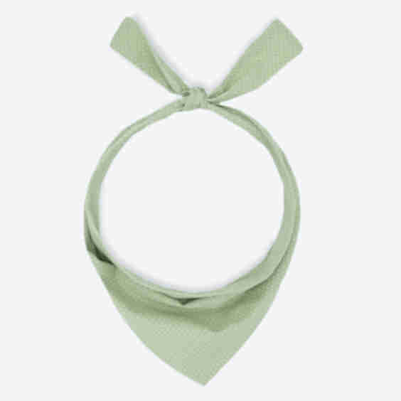 PARTY BANDANA