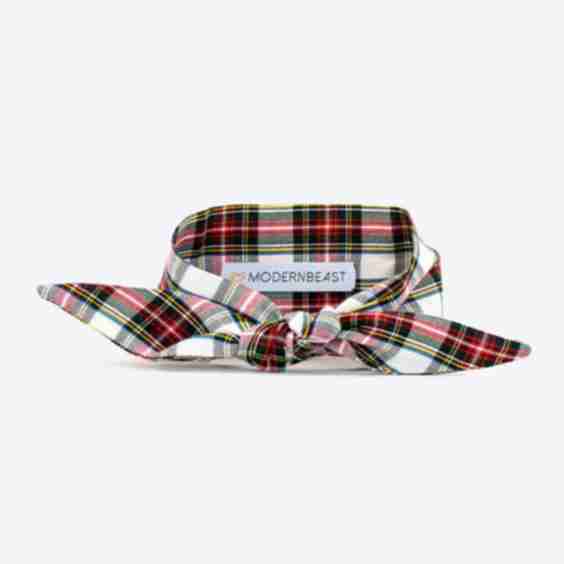 WINTER NECKTIE