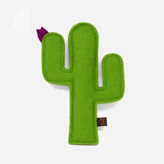 KITTY CACTUS