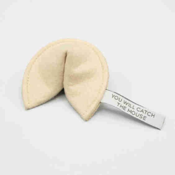 KITTY FORTUNE COOKIE - You Will Catch The Mouse