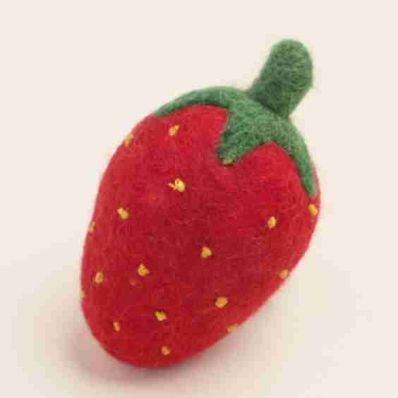 DOGGY STRAWBERRY