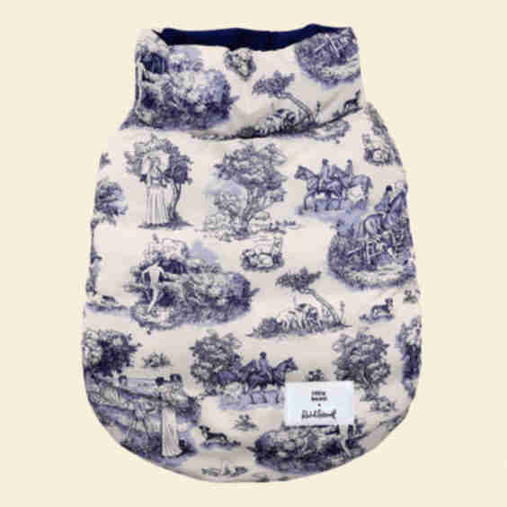 Little Beast x Rachel Antonoff Dog Parka