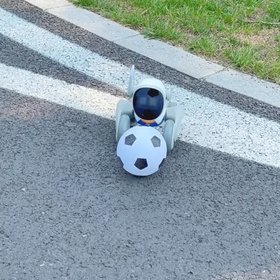 Loona Inc