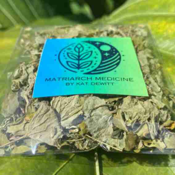 Matriarch medicines Reviews