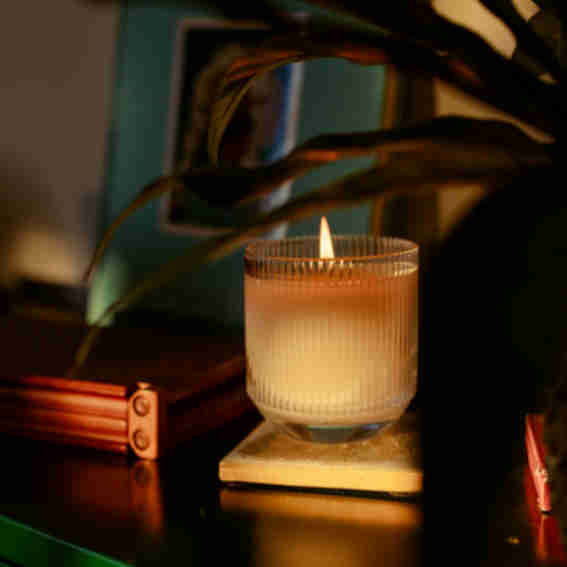 Light Provisions Reviews