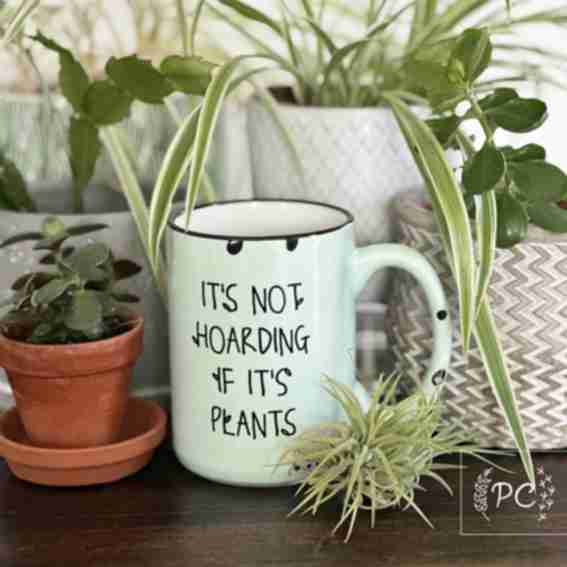 Prairie Chick Prints Reviews
