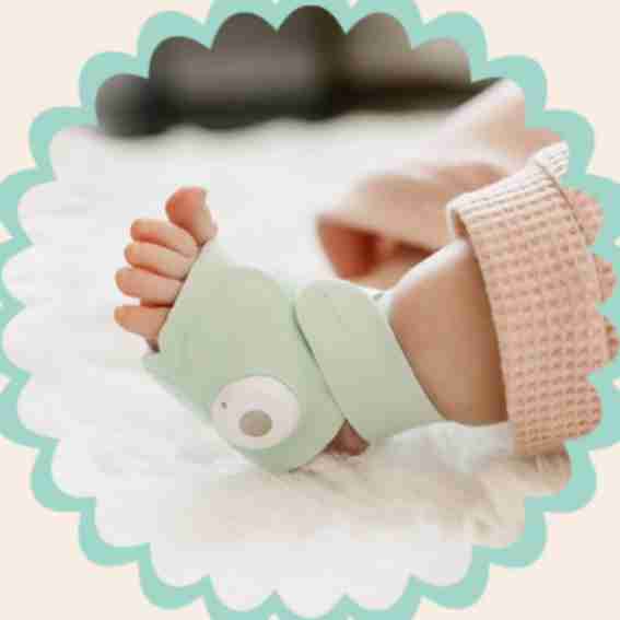 Owlet Reviews