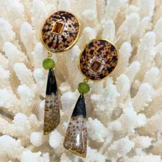 Christa's South Seashells Reviews