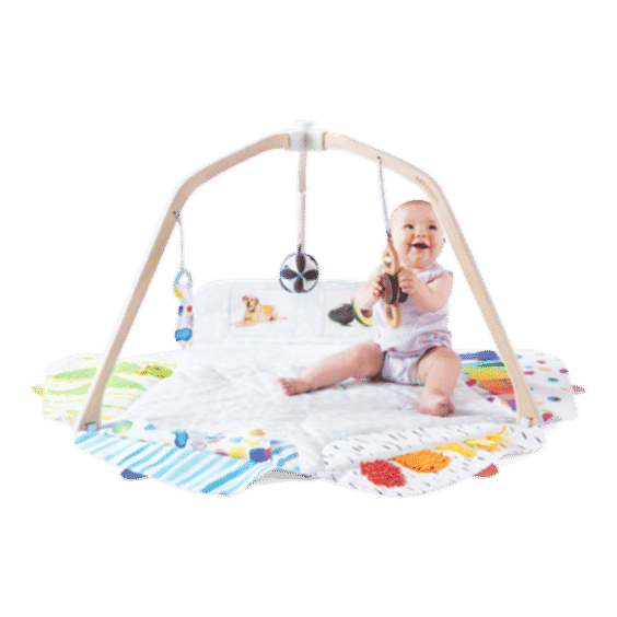 The Play Gym