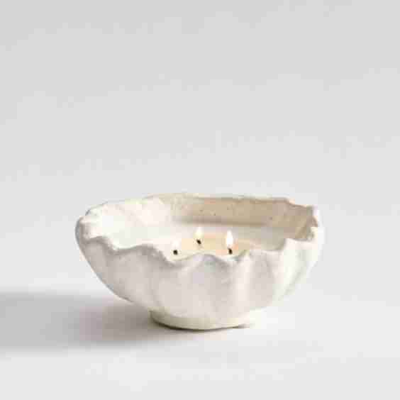 Artisan Studio Shell Candle Collection - White Fig
