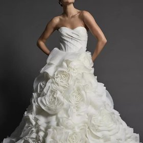 David's Bridal