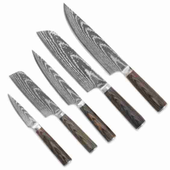 Bobby Flay Stainless Steel 5-Piece Knife Set
