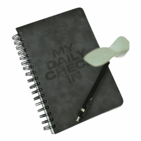 Daily Check In Journal
