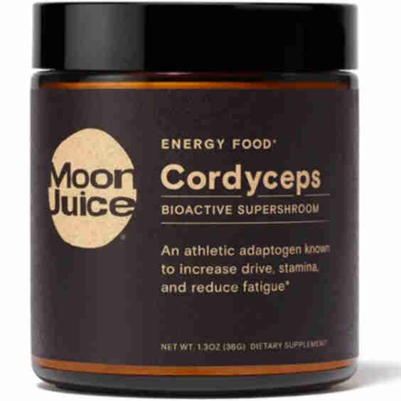 Cordyceps