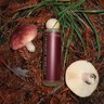 Earthside Herbals