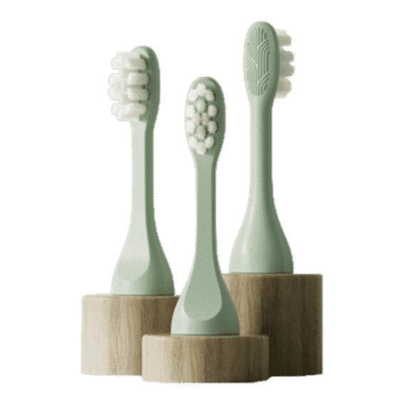 Sonic Replacement Heads x 3