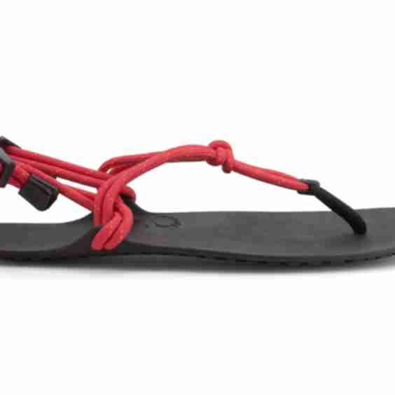 Genesis Sandals