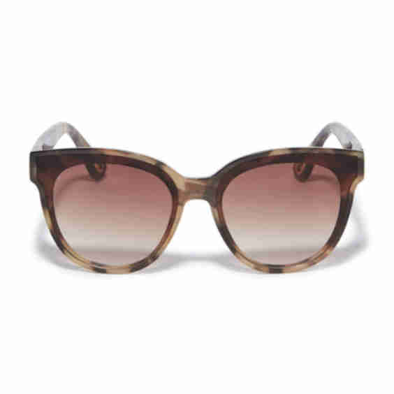 Tortoise Brooklyn Sunglasses