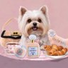Dog Diggin Designs
