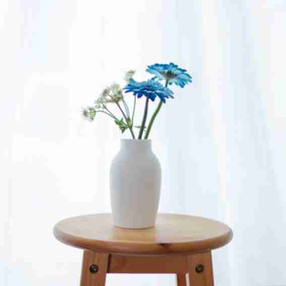Ceramic Japan Reviews