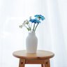 Ceramic Japan