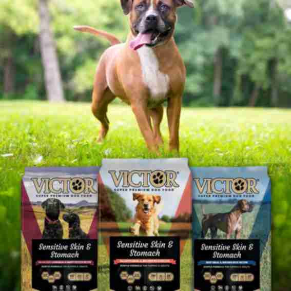 Victor Pet Food Reviews