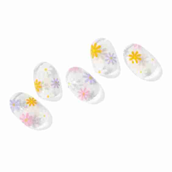 N Daisy Disco