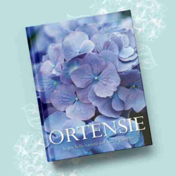 Naomi Slade Reviews