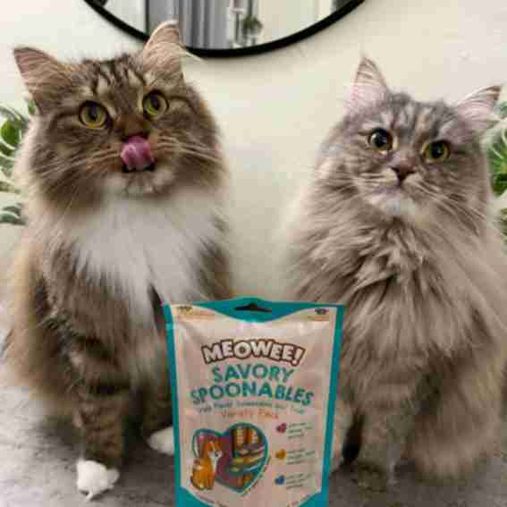 Meowee! Reviews