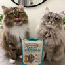 Meowee!
