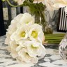 Diane James Home