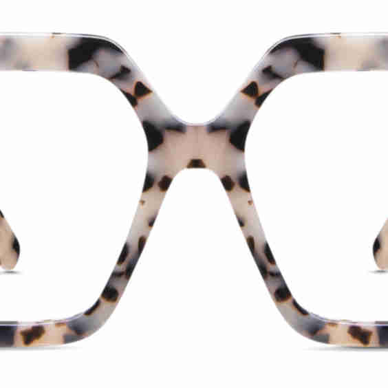 Aruna Big Frame Eyeglasses